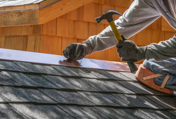 Best Roof Inspection  in Bridgman, MI
