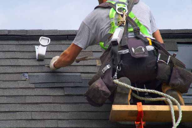Best Solar Panel Roofing Installation  in Bridgman, MI