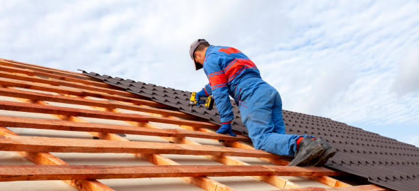 Best Roof Maintenance and Cleaning  in Bridgman, MI