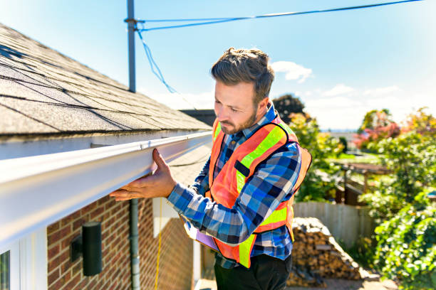 Best Sheet Metal Roofing  in Bridgman, MI
