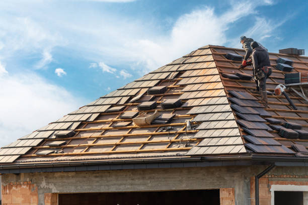 Best Metal Roofing Installation  in Bridgman, MI