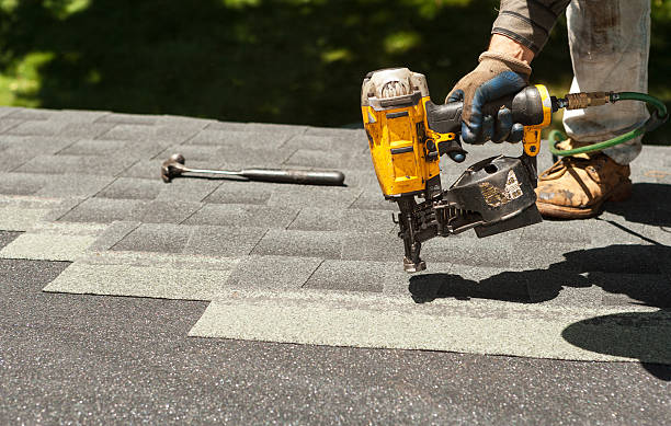 Best Roof Moss and Algae Removal  in Bridgman, MI
